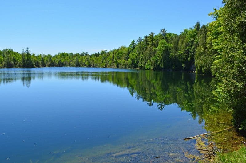 A lake surrounded by trees on a sunny day