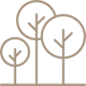 A line drawing of three trees on a white background.