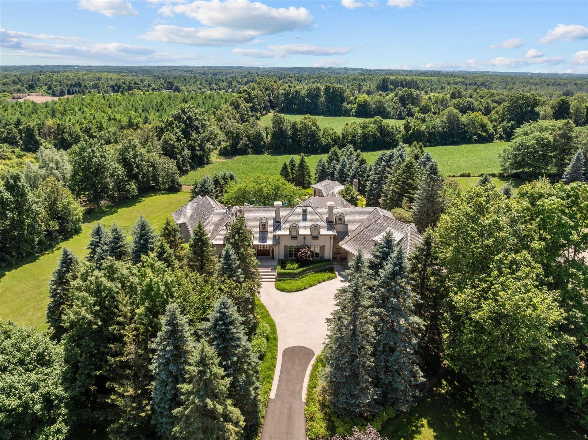 10090 Pineview Trail