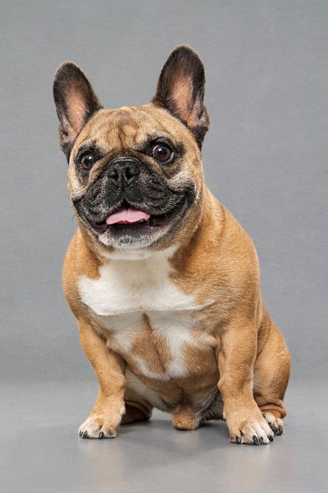 Tyson