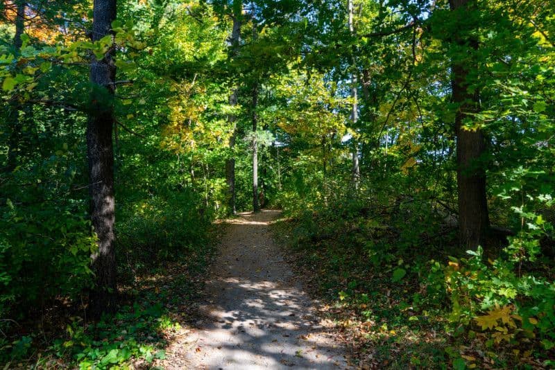 Bronte Creek