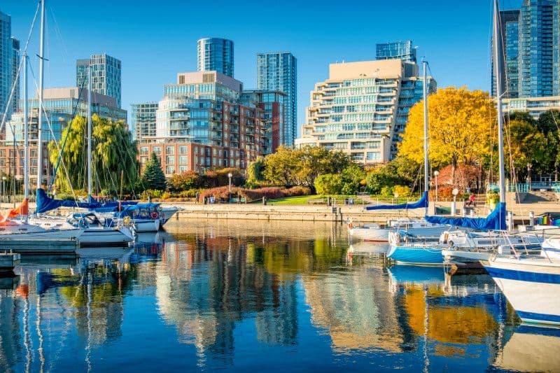 Boats docked at Toronto's Harbourfront.