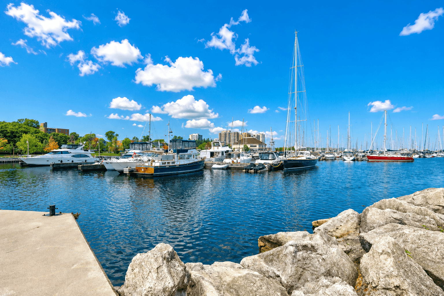Bronte Harbour Summer Guide